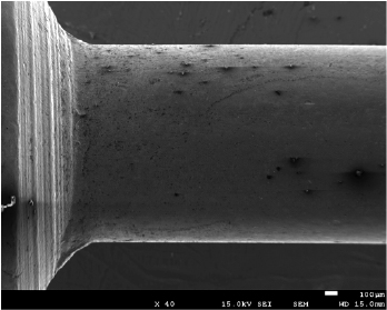 「サビZero」の基礎実験結果